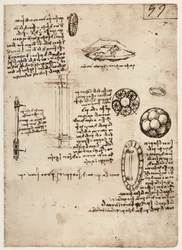 MS B 2173 f.59r, Studie von Militärwaffen, 1488-90